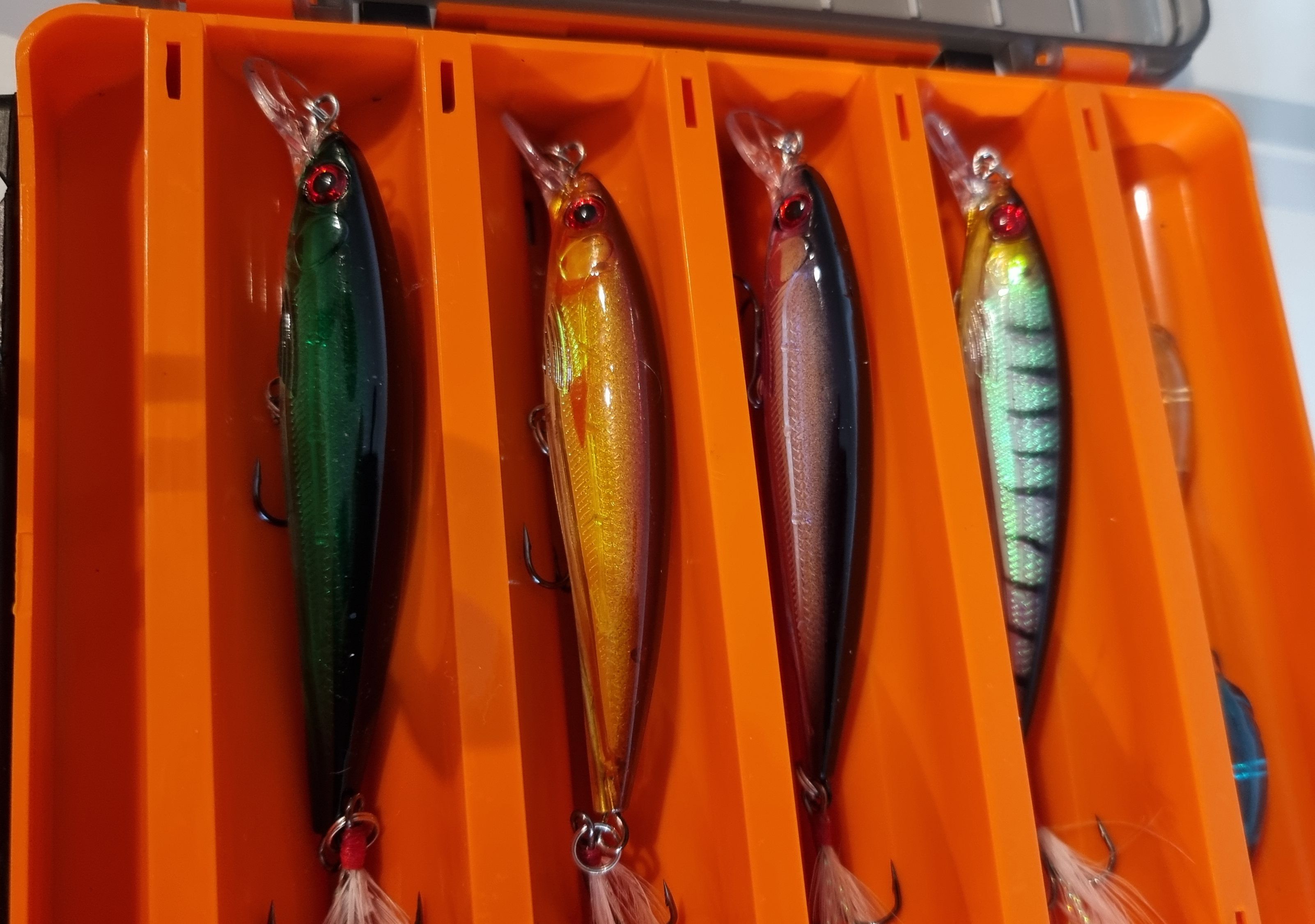 Lure selection and experimenting with different baits