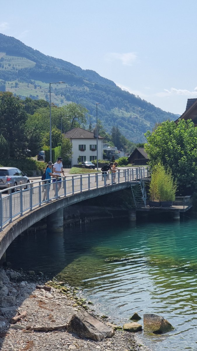 Group fishing from the footbridge over the lake outlet